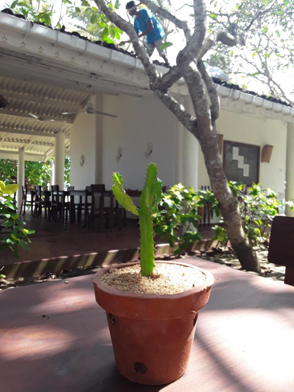 Palm Villa Mirissa Banduramulla 外观 照片